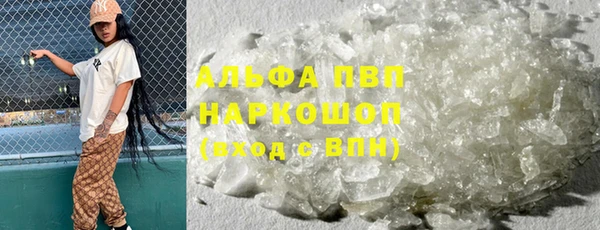 таблы Бородино