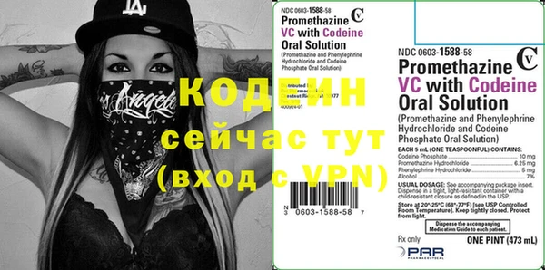 таблы Бородино