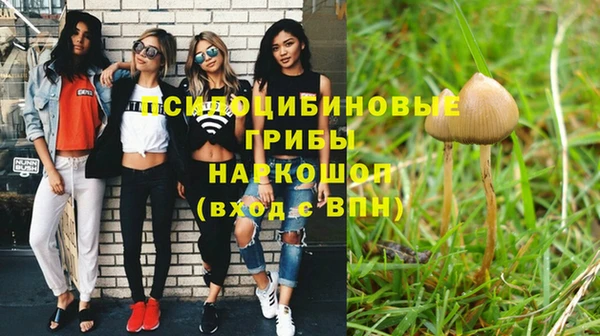таблы Бородино