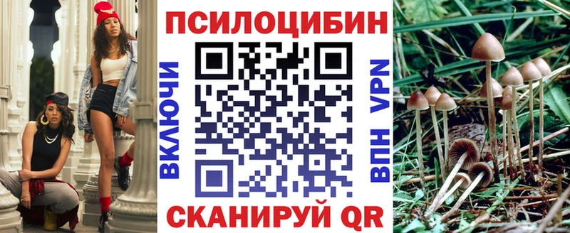 дарнет шоп Яровое Псилоцибиновые грибы мицелий
